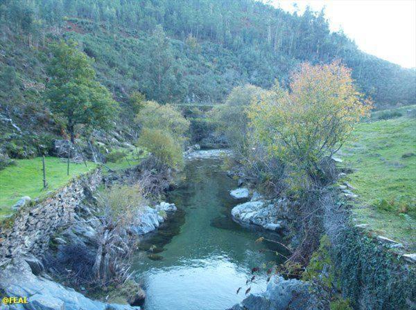 فيلا Refugio Da Estrela Aguincho المظهر الخارجي الصورة