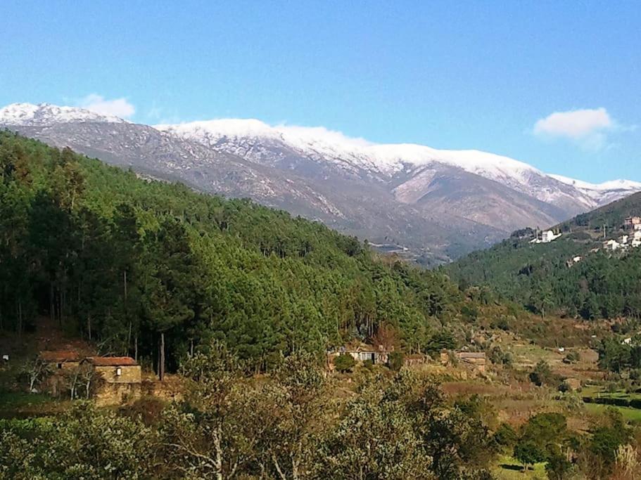 فيلا Refugio Da Estrela Aguincho المظهر الخارجي الصورة
