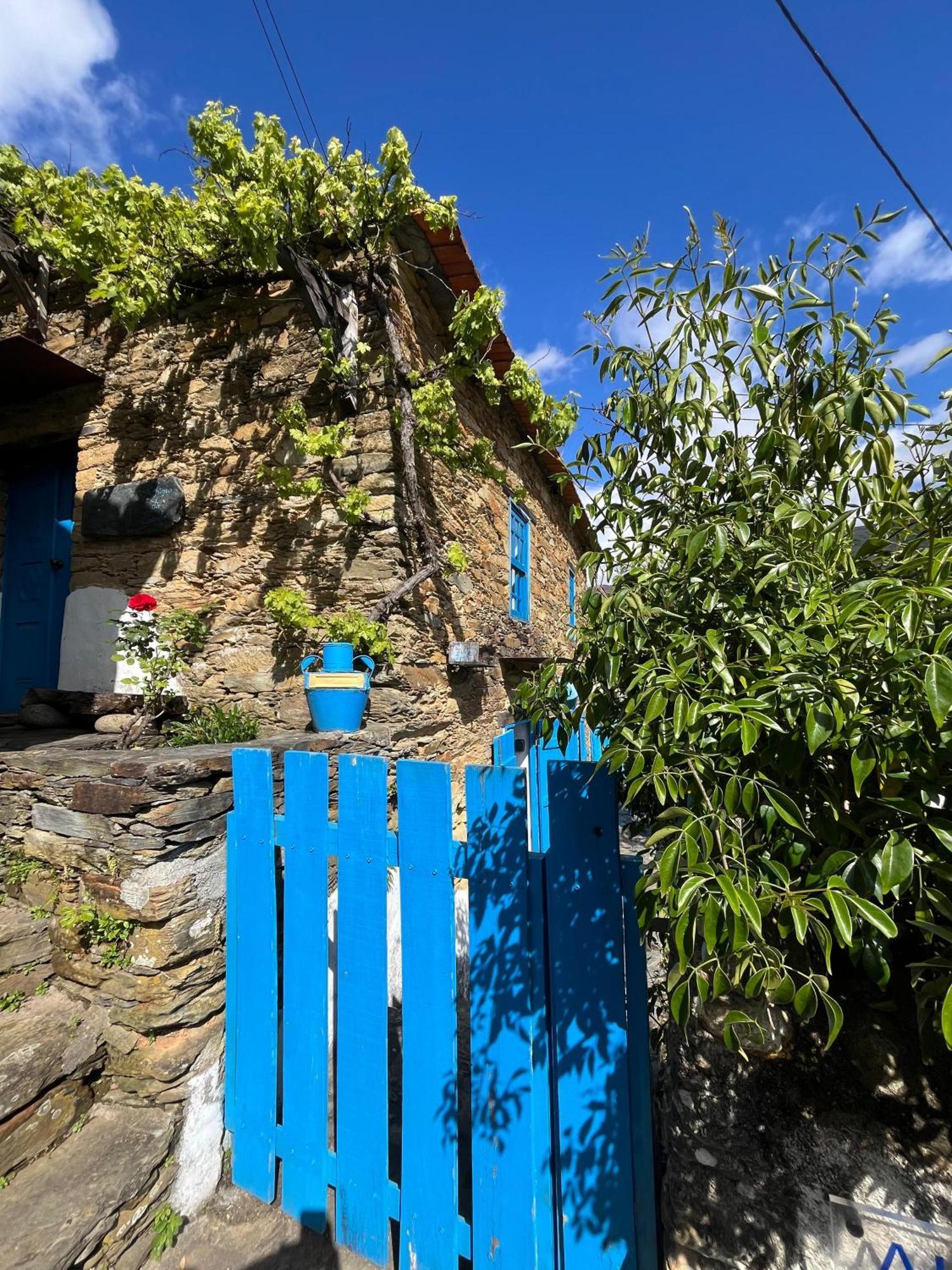 فيلا Refugio Da Estrela Aguincho المظهر الخارجي الصورة